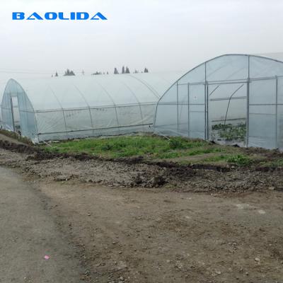 China Anti Ultraviolet Large Scale Side Ventilation Plastic Single Span Tunnel Plastic Film Greenhouse for sale