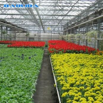 China Polyethylene Film Multi Span Greenhouse 100 Micron 200 Micron Multi Span Greenhouse for sale