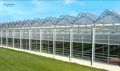 Κίνα Το θερμοκήπιο τύπων Venlo γυαλιού Polytunnel πλαισίων μετάλλων σταθεροποίησε 60x90m προς πώληση