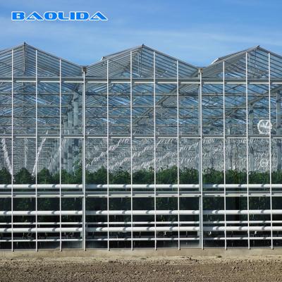 China Plants Air Conditioner Large Glass Greenhouse Customized Outdoor Auto Control for sale