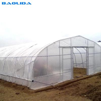 China Gothic High Tunnel Vegetable Film Hydroponics Single-Span Greenhouse Construction for sale