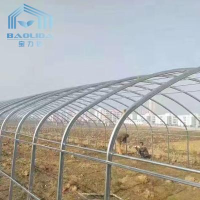 China Polyethylene Vegetable Tunnel Film Greenhouse Galvanized Single Span for sale