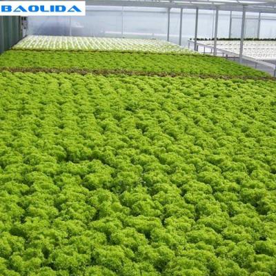 China Un tipo sistema del hidrocultivo de la torre para el invernadero de la agricultura en venta