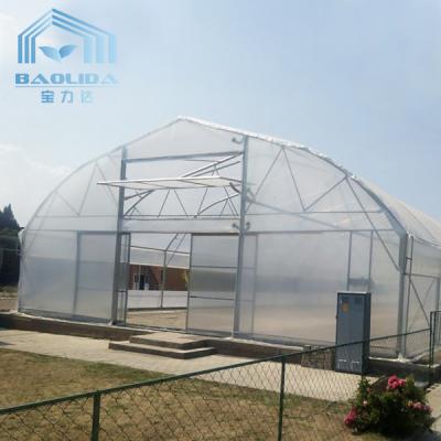 China Single Span Clear Film Tunnel Top Vent Greenhouse Sri Lanka Prefabricated for sale