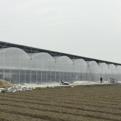 China Os tomates pré-fabricados escavam um túnel a estufa plástica/estufa período do filme a multi à venda