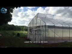 Urban Farming Sawtooth Agricultural Greenhouse Plastic Agri Greenhouse Single Span