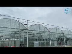 Hydroponics Tomato Cucumber Flower Venlo Automatic Multispan Glass Greenhouse