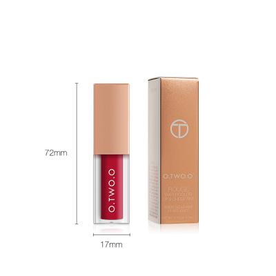 China Other Best and Cheapest Lip Gloss Foundation and Cheek Lip Blush Set Dual Use Liquid Blusher Watercolor Lip Gloss for sale