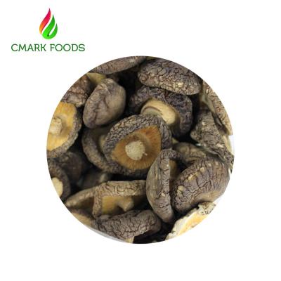 Cina Interi funghi di shiitake secchi dell'umidità 11%/fungo di shiitake organico intero in vendita