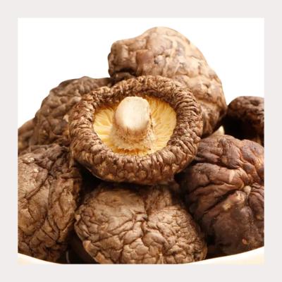 Cina Funghi Shiitake secchi di consistenza media con consistenza secca in vendita