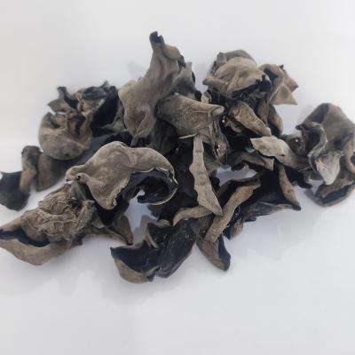 China High Nutrition Dried Black Fungus 2 - 2.5cm Healthy Food Dry Fungus for sale