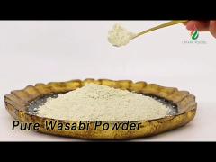 Horseradish Pure Wasabi Powder 1KG Green Color For Seasoning