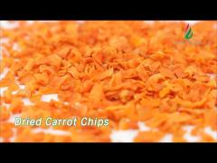 Dehydrated Dried Carrot Chips Crispy Healthy Bright Red Natural Taste