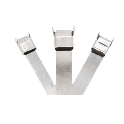 China Cable Ties Wing Seal Stainless Steel Large Cable Ties SS316 8x300mm Bundling for sale