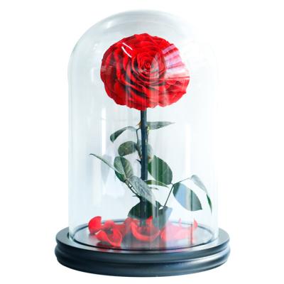 China Weddings Decoration Ammy Preserved Flower Rose Small Prince Red Eternal Flower With Glass Cover For Gift for sale