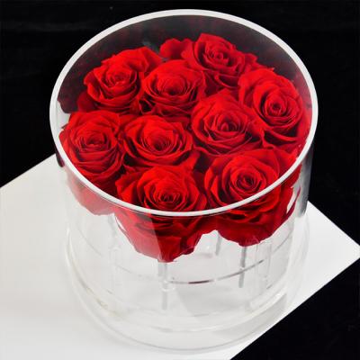 China Weddings Decoration New Ammy Wholesale Best Selling Acrylic Around Flower Box Long Lasting Preserved Rose For Gift for sale