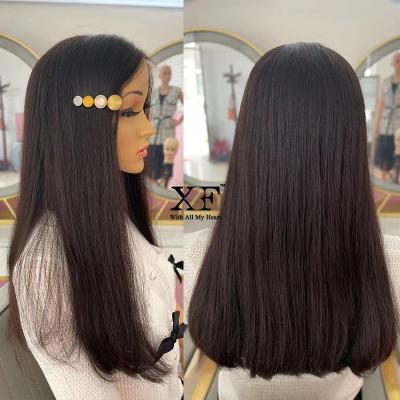 China Top 100% Unprocessed Jewish Swiss Brazilian Hair 100% Natural Straight 20 Inches Kosher Lace Wig Wigs for sale