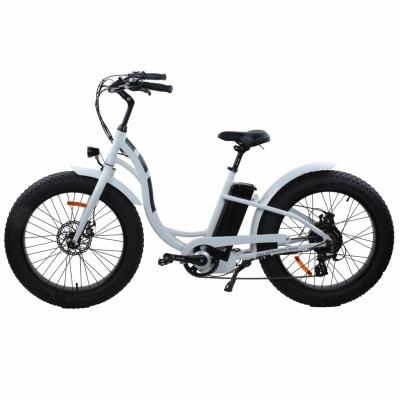 China Hot Sale Aluminum Alloy E-Bike E-Bike E-Bike Electric Bike Electric Brushless Motor Electric Bike Ladies for sale