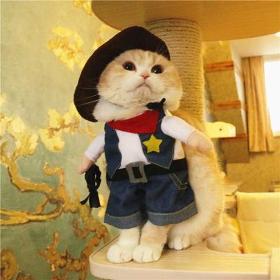 China Funny Costume Viable Cosplay Dog Fashion Dog Apparel Luxury Dog Costume for sale