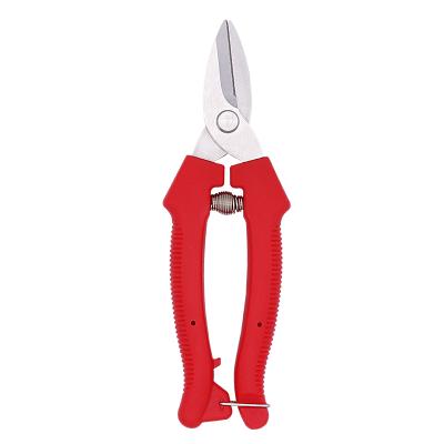 China Anti-skid Handle Stainless Steel Multifunctional Fruit Tree Grape Shears Porcelain High Precision Bonsai Balancing Tools Hand Grafting Scissors for sale