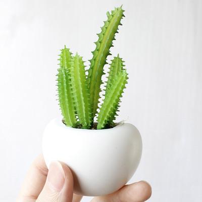 China Wholesale Potted Succulent High Quality Magnets Potted Fridge Plant Button Magnet Plant Bonsai Decorative Sticker for sale