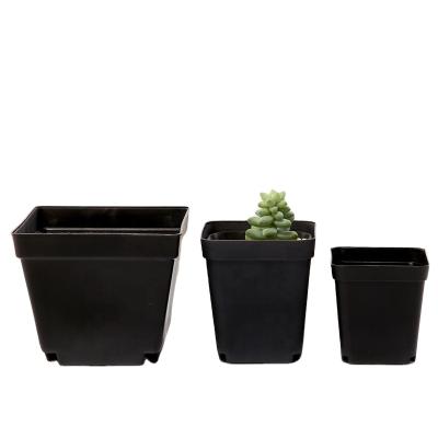 China Plastic Thicken Planters Pot Trays Small Plastic Pots Creative Pots For Succulent Plants for sale