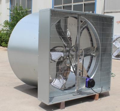 China Industrial Chicken House Fan Use Butterfly Cone Fan For Poultry Farm Wind Ventilation for sale