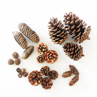 China Fashional Gift Christmas Tree Ornaments Pine Cone Decoratives Natural Pine Cone For Christmas Decoration for sale