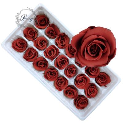 China Green Environmental Protection 2020 Popular 2-3 Cm Preserved Flowers Rose Heads For Decorative Flowers for sale