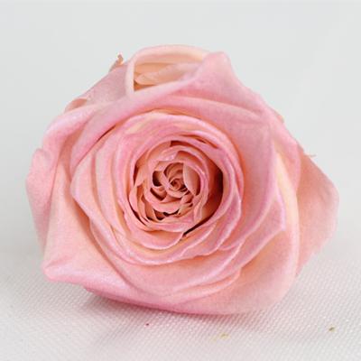 China New Fashional Gift Products Rose Gold Preserved Roses For Graduation Gift for sale