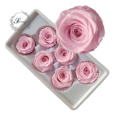 China Fashional gift wholesale rose amor preserved roses for preserved roses 6cm box for sale