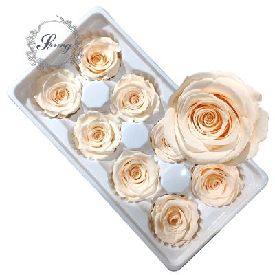 China Fashional Gift Plant Outlet 4-5cm Real Preserved Rose For Flower Box for sale