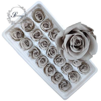 China Fashional gift factory supply roses preserved and we are looking for excellent partners all over the world for sale