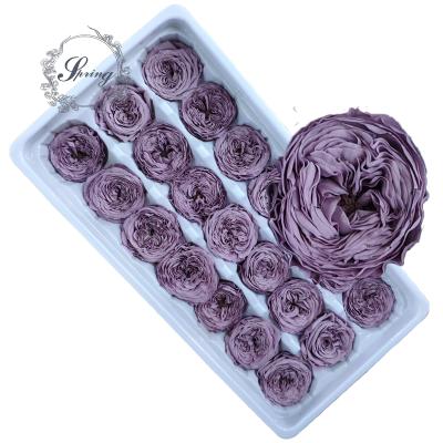 China Fashional Gift China Supplier Mini Preserved Roses Heads For Day Gift for sale