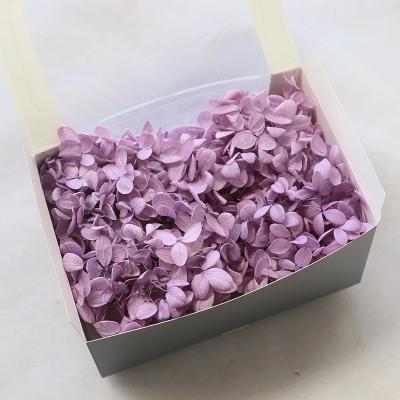 China Fashional Gift Real Touch Purple Hydrangea For Wedding Decoration for sale