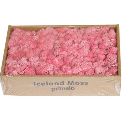 China Wholesale Good Quality Eco - Friendly A Box Of 500g Preserved Moss For Home Decoration for sale