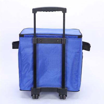 China Beautiful Waterproof Shopping Cart Cooler Bag, Dry Travel Cooler Bag, Thermal Custom Oversized Pizza Delivery Bag for sale