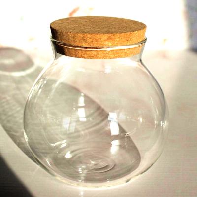 China Wholesale 800ml Cover Borosilicate Glass Food Storage Jar Glass Container with Cork Lid for Kitchen Use for sale