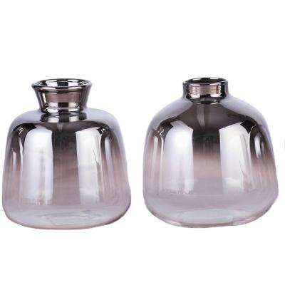 China Sustainable Cute Design Borosilicate Glass Flower Vases In Light Gray for sale