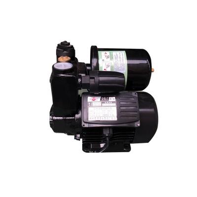 China Garden Water Pump Household Water Pump High Efficiency WZB Type Automatic Self Priming Pump for sale