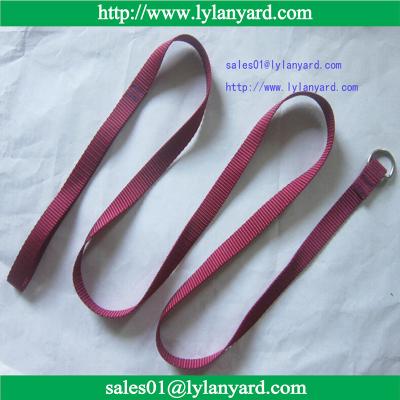 China 120cm Long Nylon Dog Pet Leash  Lead For Daily Walking (1.0cm~2.5cm in width) for sale