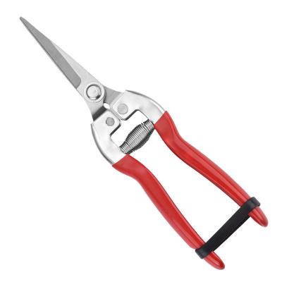 China Anti-Slip Handle Garden Pruning Snips Grapes Stainless Steel Tree Cutter Gardening Scissors Grafting Tree for sale