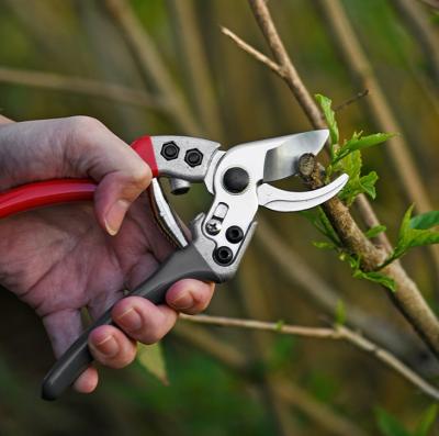 China Anti-Slip Handle Professional Garden Pruner Tools Fruit Picking Shear Tree Bypass Hand Pruner Pruning Scissors for sale