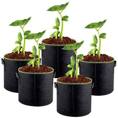 China New 2020 Eco-friendly Trending Products Felt Growing Pots for sale