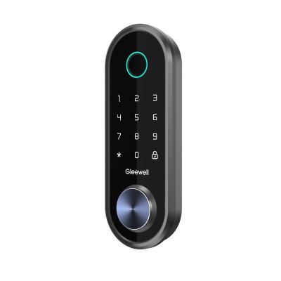 China Tuya smart door lock hotel and key card rfid fingerprint wholesale customizable smart home lock for sale