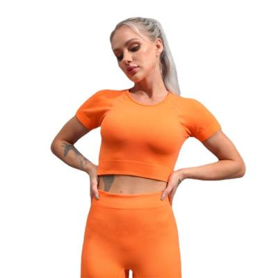 China New viable spring and summer yoga clothes sheer long sleeve sports tight yoga pants seamless knitted fitness color yoga suit for sale