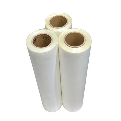 Cina 60cm Inkjet Hot Peel Dtf Film Roll Hot Peel Heat Transfer Film 24 pollici in vendita