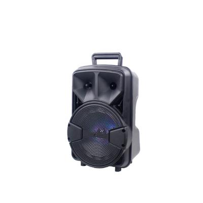 China No Cart Outdoor Portable Speaker DJ Speaker System With LED Light Bluetooth Speaker for sale