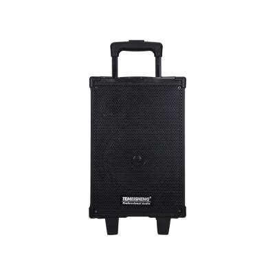 China OEM Professional Wireless Portable Maker Bluetooth Karaoke Home Party DJ Outdoor Cart Speaker for sale