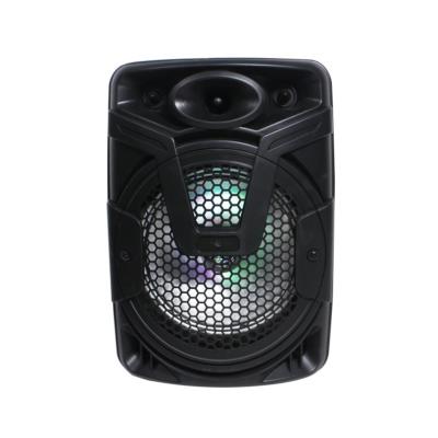 China Portable Wireless Bluetooth Speaker with Lightweight AS-8A 30W USD Woofer, 8 Inch FM, with Lithium Battery for sale